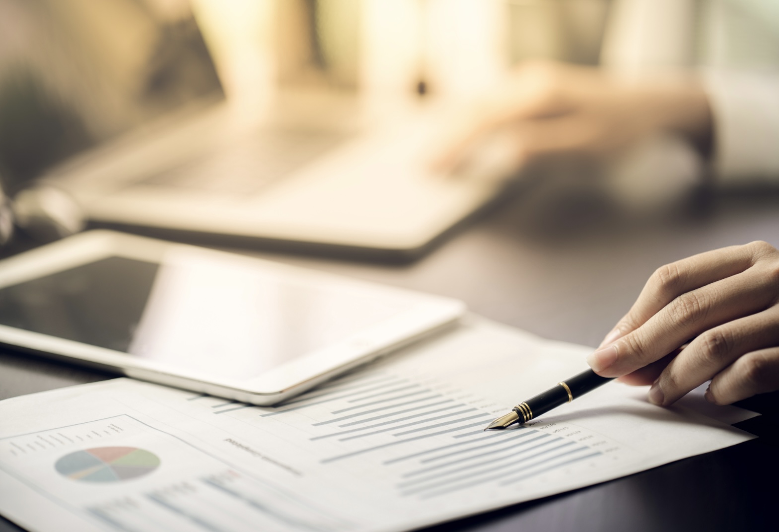 Professional reviewing financial documents and charts